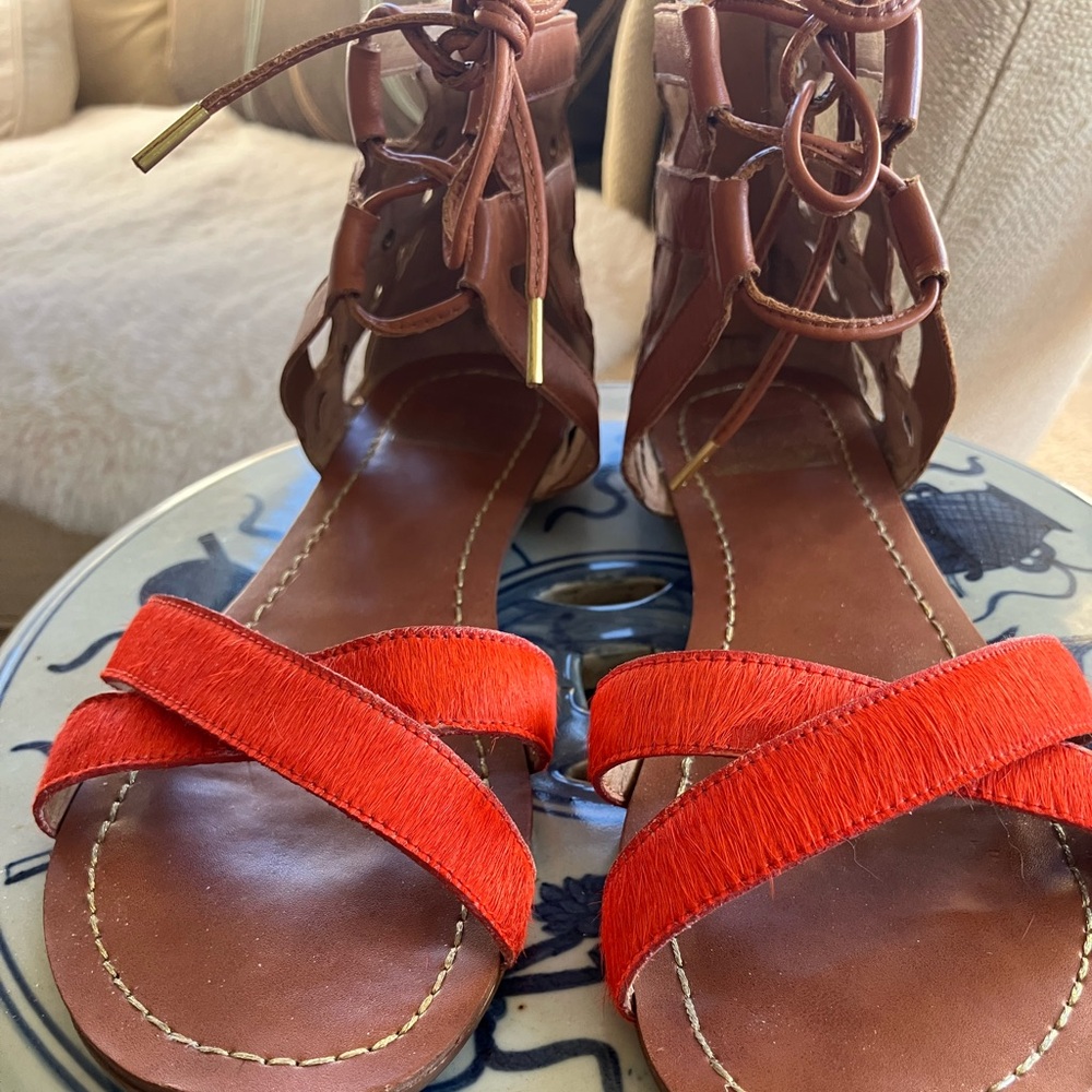 Dolce Vita Sandals
